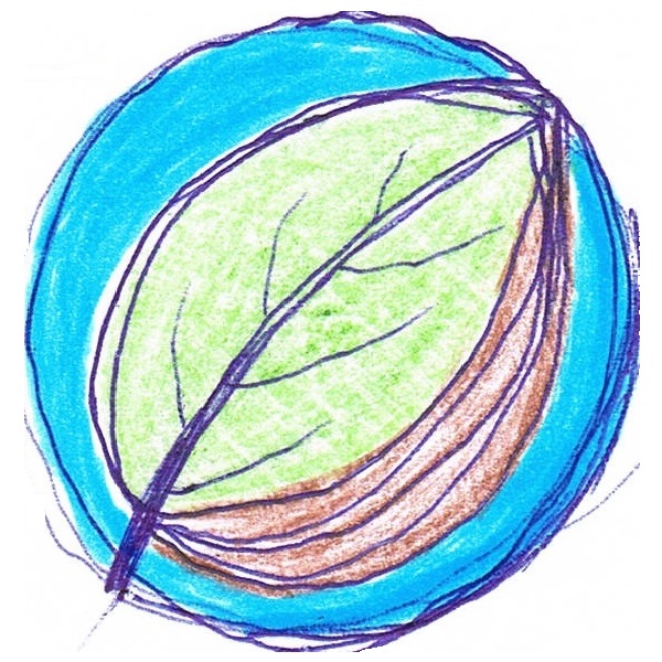 dessin d'une feuille