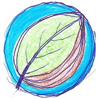 dessin d'une feuille